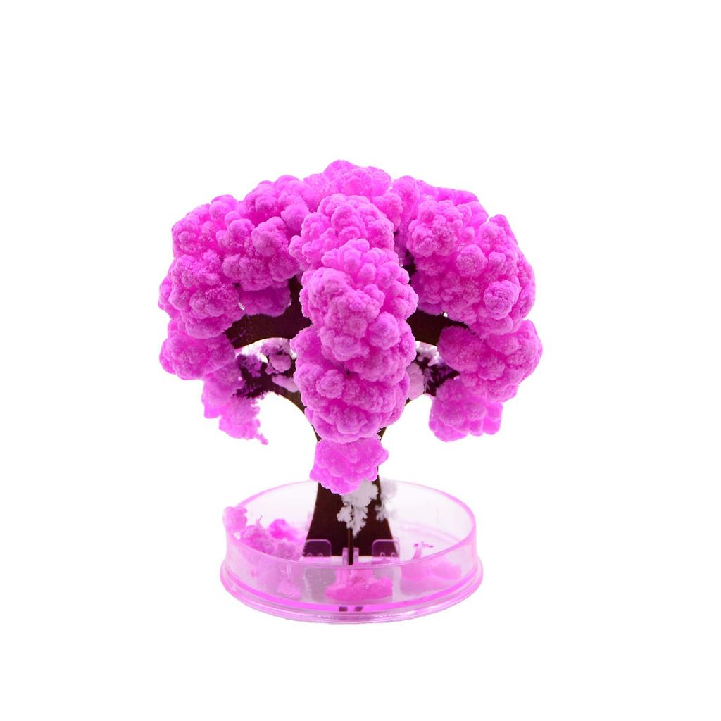 Christmas Tree Growing Science Experiment, STEM Educational Toy for Kids