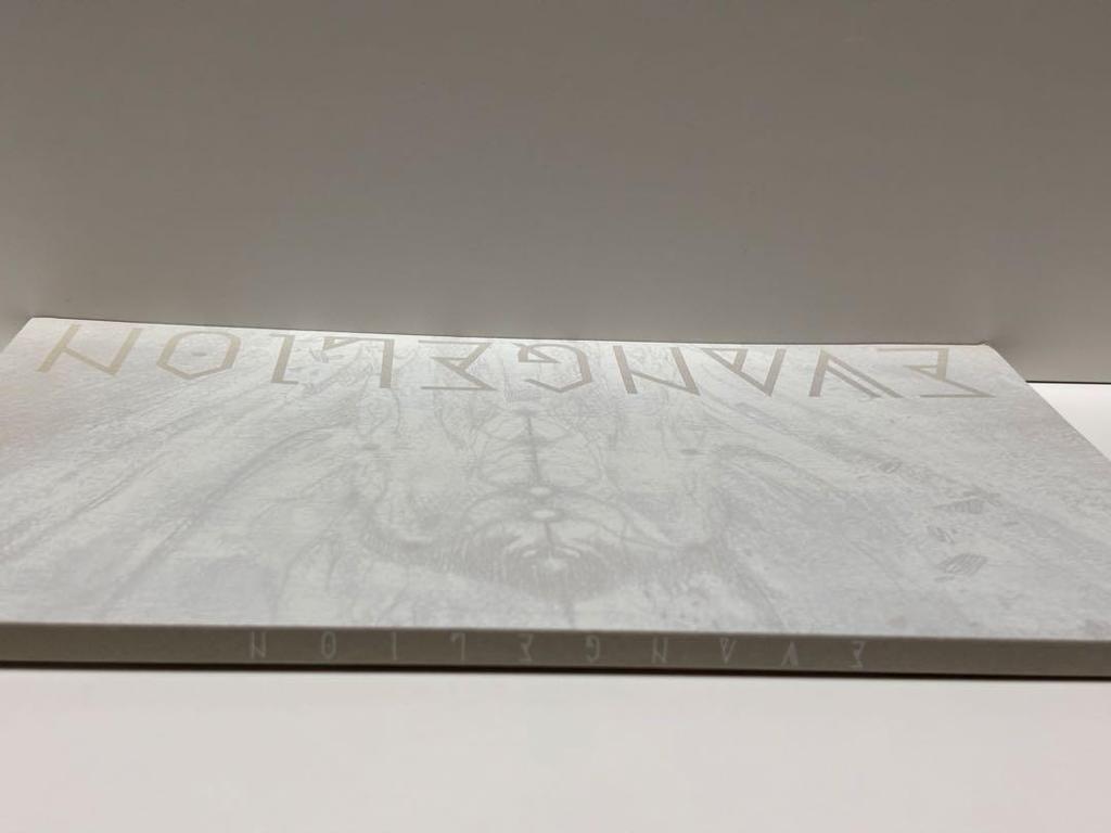 [USED] New Evangelion Movie Original Art Collection