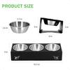Upgraded Elevated Cat Food Bowl 15 Tilt Stand AntiVomit Elevated Cat Food Bowl 3 Stainl Steel for Feeding and Drinking Pet Feed