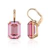 [SWAROVSKI] 5619502 Women's Earrings