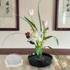 Round Ikebana Stem Holder Suction Cup Transparent Flower Arrangement Base Flower Fixing Bracket Vases Floral Fixed Base Holder Cup Holders 5