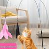 Kedi – Kedi Oyuncakları