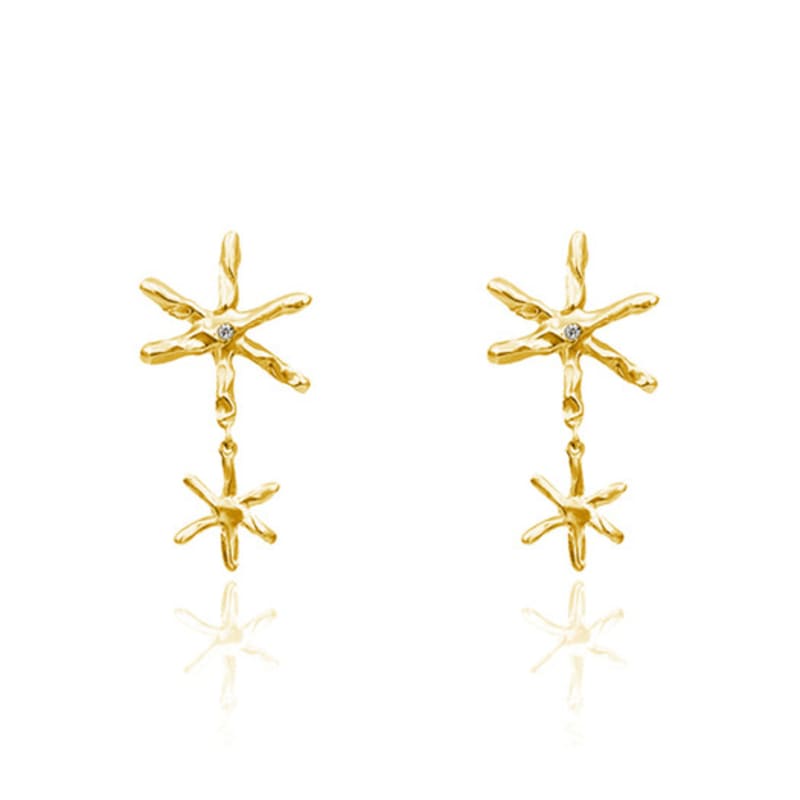 POPPI The classical star earrings no.3