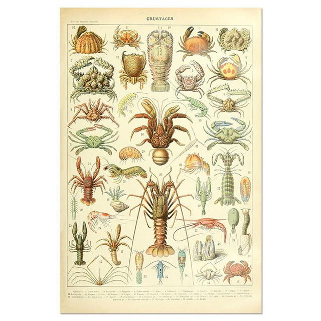 Vintage-Leinwandgemälde mit Gemüse, Früchten, Pilzen, antike Wandkunst, botanische Bilder, wissenschaftliche Poster und Drucke, Heimdekoration