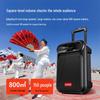 Aigo Tragbarer Outdoor Bluetooth Karaoke-Rollwagenlautsprecher CN-Stecker (Adapter enthalten) (CN-Version)