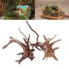 Practical New Natural Trunk Driftwood Root Wood For Aquarium Fish Tank & Reptile Terrarium Landscape Decoration Pet Supplies