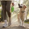 Lightweight Portable Pet Feeder 2Pcs Bottle Adapter Dog Cups, Water Attachment Bowls, Leakproof Collapsible Cup Drinking Cups for Outdoor Walks,