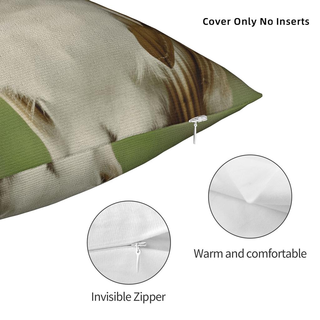 Pet Cat Funny memes Pillow Cover  Kawaii Pillow Case For Couch Sofa Bedroom Square Pillowcases Gift