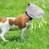 Adjustable Dog Protective Mask Mesh Mosquito Proof Mask Durable Pet Protective Veil  Travel