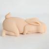 New Male Masturbation Sex Toy 0.5kg Rabbit Model Realistic Vaginal Channel Adult Male Masturbator Pussy Can Be Inserted