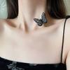 Korean version of temperament butterfly collarbone chain 2025 new niche design necklace female tide Internet celebrity cold wind neck chain