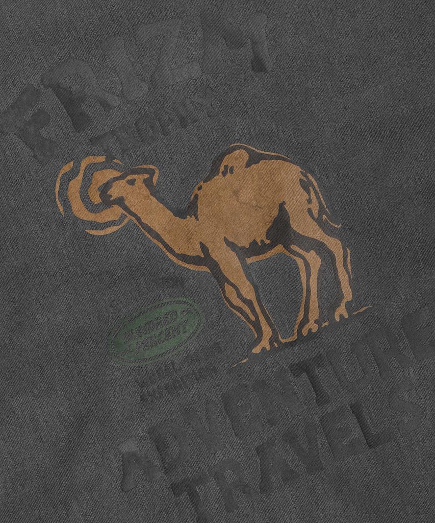 FRIZMWORKS Trophy Pigment Dyeing Tee _ Charcoal
