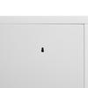 White 2-Door Metal Storage Cabinet with Adjustable Shelves, Ideal for Clothing Storage In Bedroom, Living Room, Office & Gym