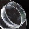Lightweight Necklace Holder 5 Pcs Transparent Bracelet Display Compact Portable