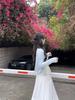 Plus Size Floral Lace Trim Camisole & Cardigan with Pleated Chiffon Skirt Set