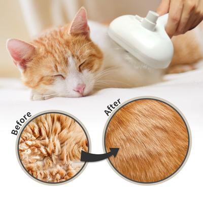 Steamy Cat Brush Pet Spray Grooming Comb Remove Floating Hair Fluffs Hair Water Steam Styling for Dogs Cats Accessories