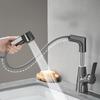 TLXT Pull-Out Bathroom Basin Faucet