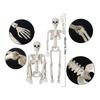 1pc Halloween Spooky Movable Joints Human Skeleton Decoration for Halloween Party Outdoor Indoor DIY Skeleton Decoration Props