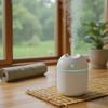 Desktop Mood Humidifier, USB Mini with Colorful LED and Aromatherapy for Personal Space and Relaxation