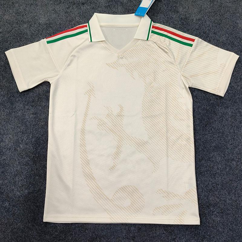 2627 World Cup Wales Away Short Sleeve Jersey, Fan Version (S-4XL)