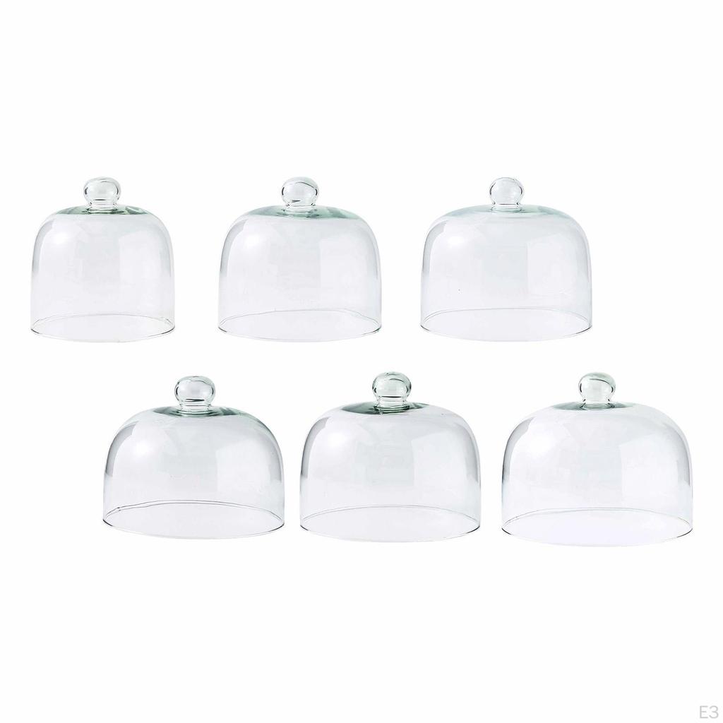 Cake Lid Display Cloche for Food Restaurants Home