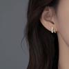 Pearl Earrings New Niche High-end Earrings Light Luxury Women's Earrings