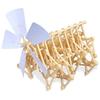 Little Swallow Wind-Powered Walking Robot Model DIY Kit Mini Beast Strandbeast Science Project