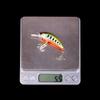 1Pcs Fishing Lure 6cm/5.5g Floating Artificial Hard Bait Bass Wobblers Lures Crankbait Hooks Tackle