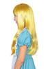 Katzland Blonde Long Wig Costume Accessory Unisex