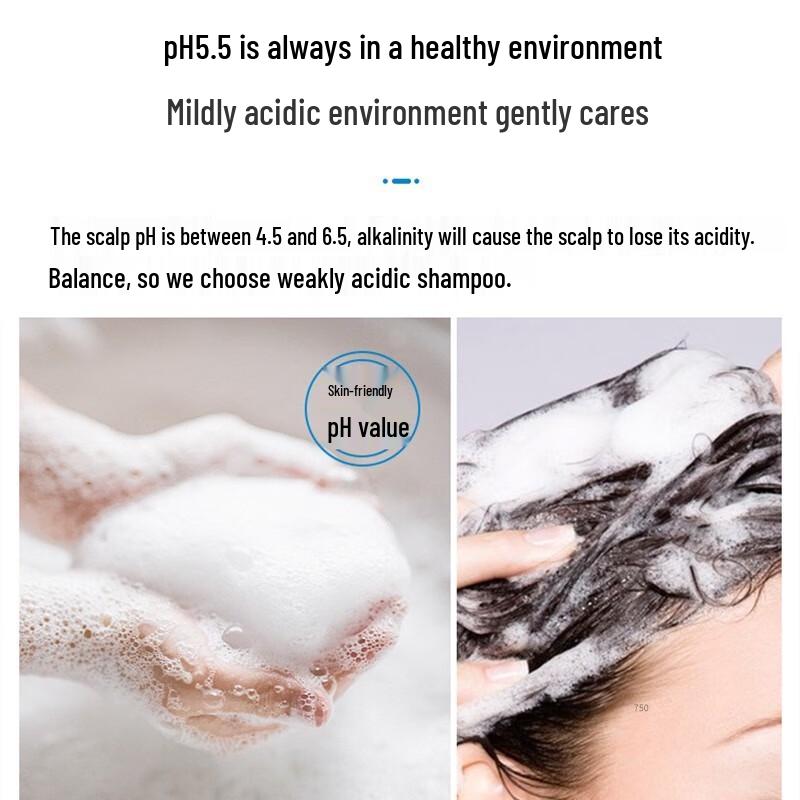 b2v Seaweed Smoothing Repair Shampoo 750ml