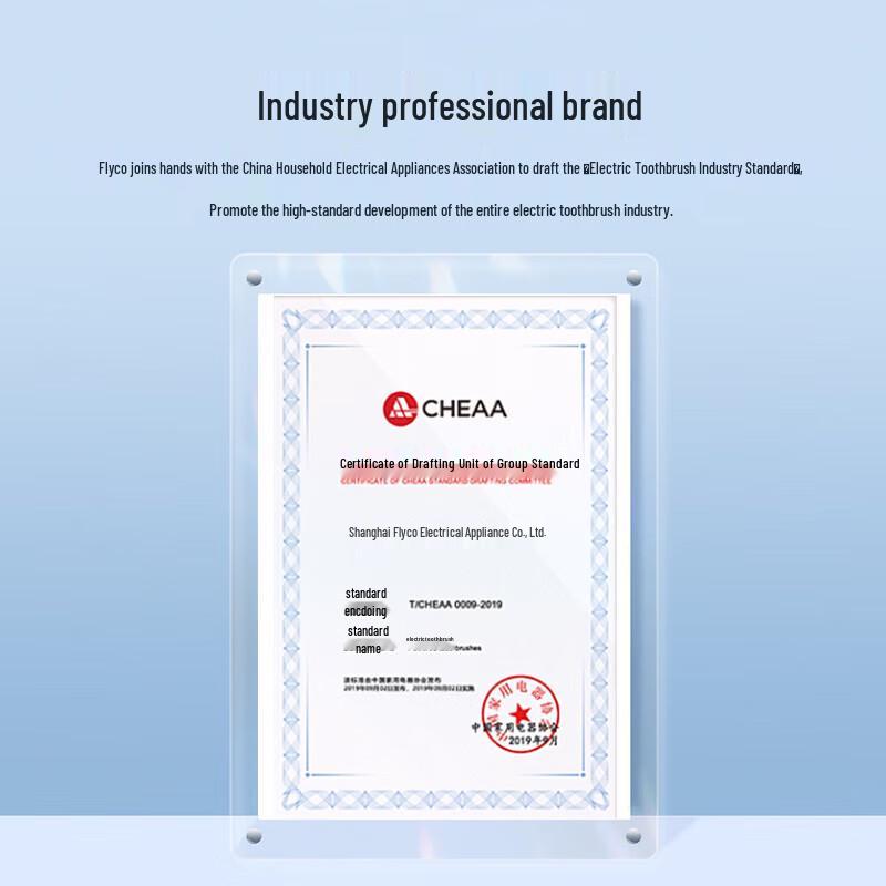 FLYCO FT7105 Sonic Electric Toothbrush with Soft Bristles