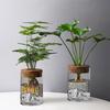 1pc Hydroponic Plant Vase With Wood Lid For Indoor Hydroponic Gardens Transparent Seedling Pot Gardening Accessories