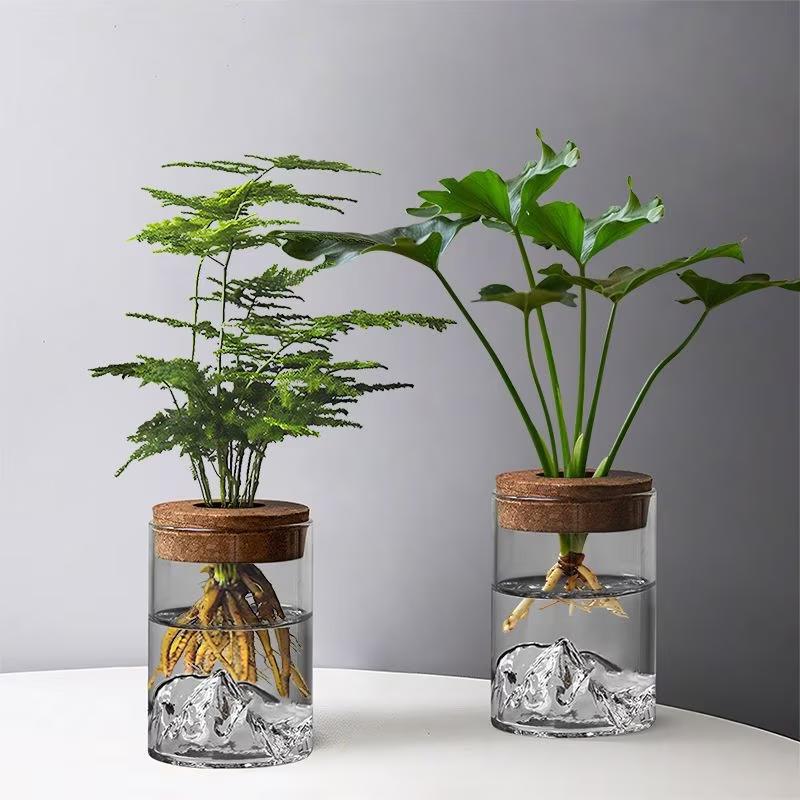 1pc Hydroponic Plant Vase With Wood Lid For Indoor Hydroponic Gardens Transparent Seedling Pot Gardening Accessories