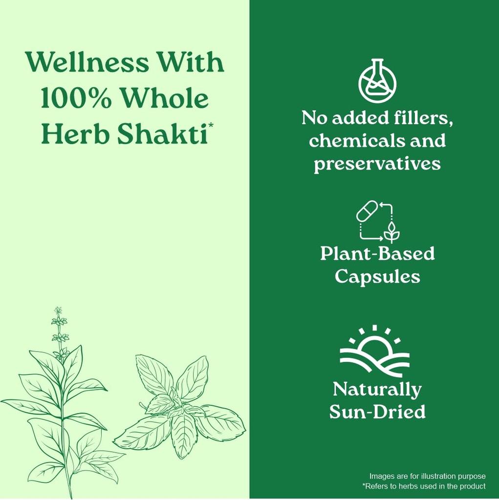 Organic India Immunity 60 Capsules Strengthen Immune Response and Support Wellness Daily