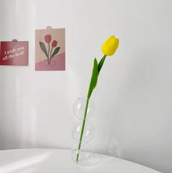 Korean-Style Transparent Glass Flower Vase for Soft Decoration and Photography