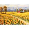 1000 Piece Jigsaw Puzzle - Sunflower Farm
