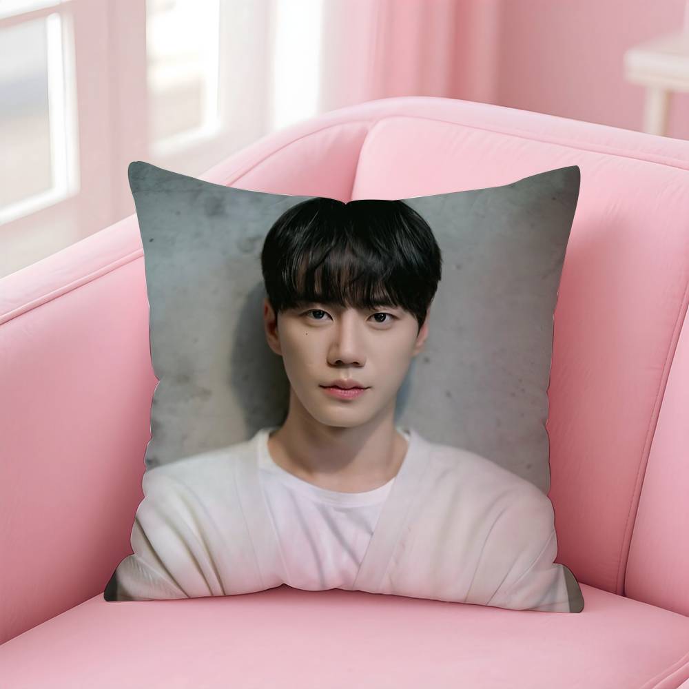 Kpop Style Hot Singer Lee J-Jun Young Pillow Case Anti-Dustmite Pillowcase Invisible Zipper Silky Short Plush Sofa Cushion Cover
