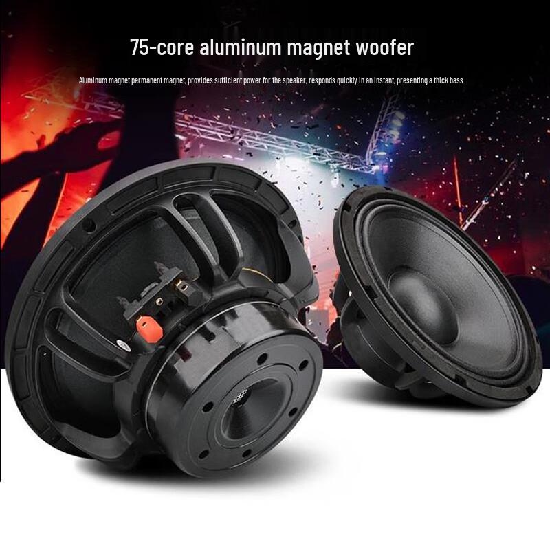 WeiShu PC-610A 10-inch Full-Range Passive Professional Speaker