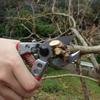 ARS Corporation Anvil Pruning Shears 200mm VA-8Z