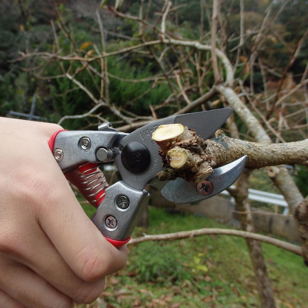 ARS Corporation Anvil Pruning Shears 200mm VA-8Z