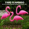 3 Pack Large Pink Flamingo Yard Decorations Medium Plastic Lawn Flamingo Ornament Stakes with Rubber Coating Metal Legs