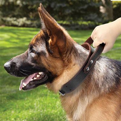 dog walking training collar