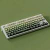 Xiaomi Gradient Green Grape Side Print RGB Backlit Keycap 135 Keys Double Shot PBT Keycaps Cherry Profile for MX Switch Gaming Keyboard