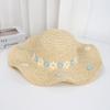 Summer Internet celebrity straw hat collection girls summer seaside vacation sweet raffia weaving sun hat