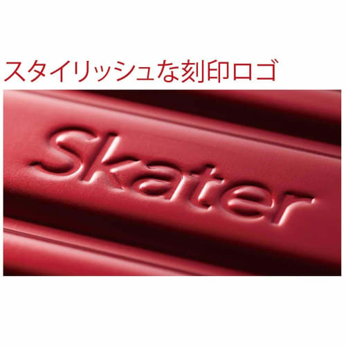Skater Fluffy Aluminum Bento Box Large Capacity 1000ml Men's Silver AF10B-A