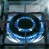 Electronice pentru bucătărie – Piese de schimb pentru aparate de bucătărie