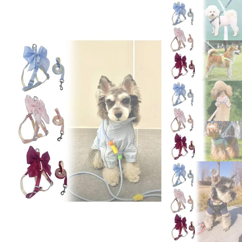 Pet Dog Leash Set With Bright Silk Large Bowknot Chest Harness For Small Dogs And Cats