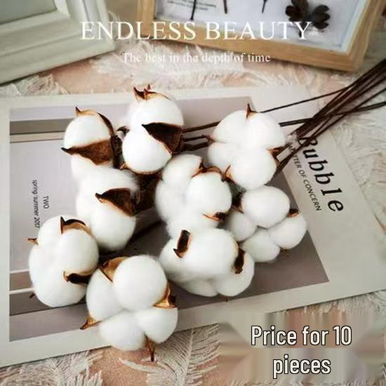 Christmas Pine Cones & Dried Flowers Pack - Eucalyptus, Pine Wood, Cotton, Handmade Photography Props