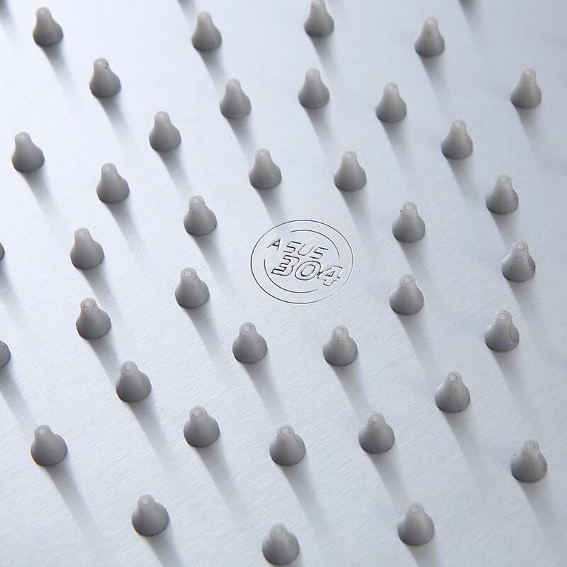 OEMG304 Stainless Steel Pressurized Shower Head