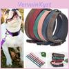 Wide Pet Dog Padded Collar Leather Dog Collar Large For Medium And Large Dogs